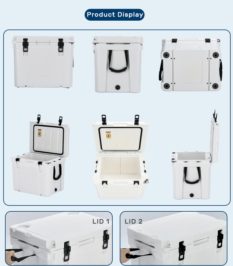 Nevera rígida aislada nueva de - Food Storage Camping reseña y precio