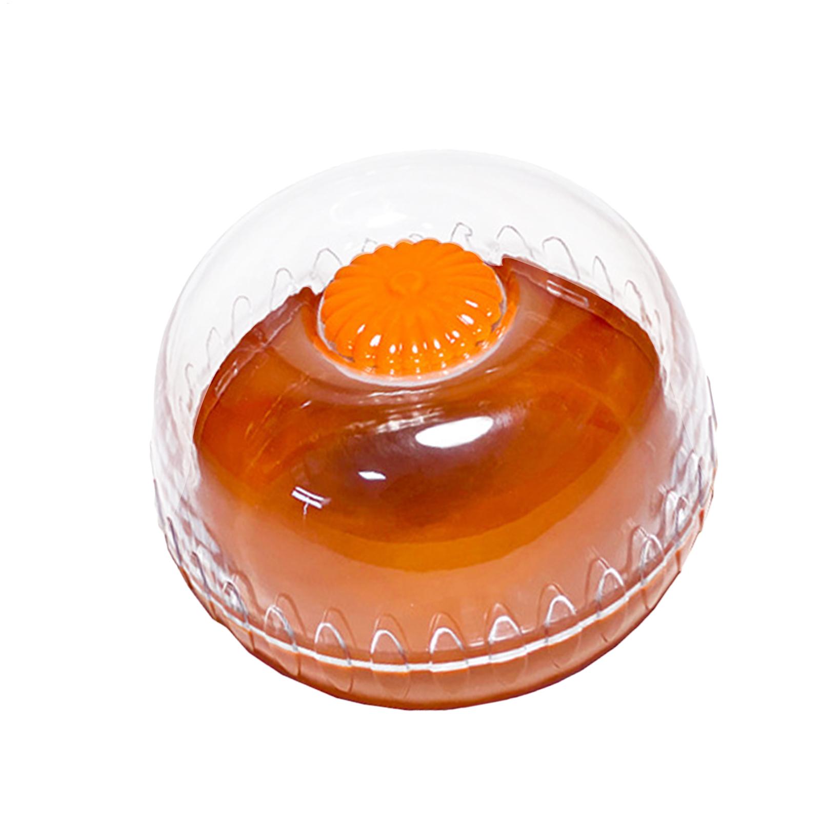 Recipiente para Almacenar Frut - Food Storage Containers Tupperware reseña y precio